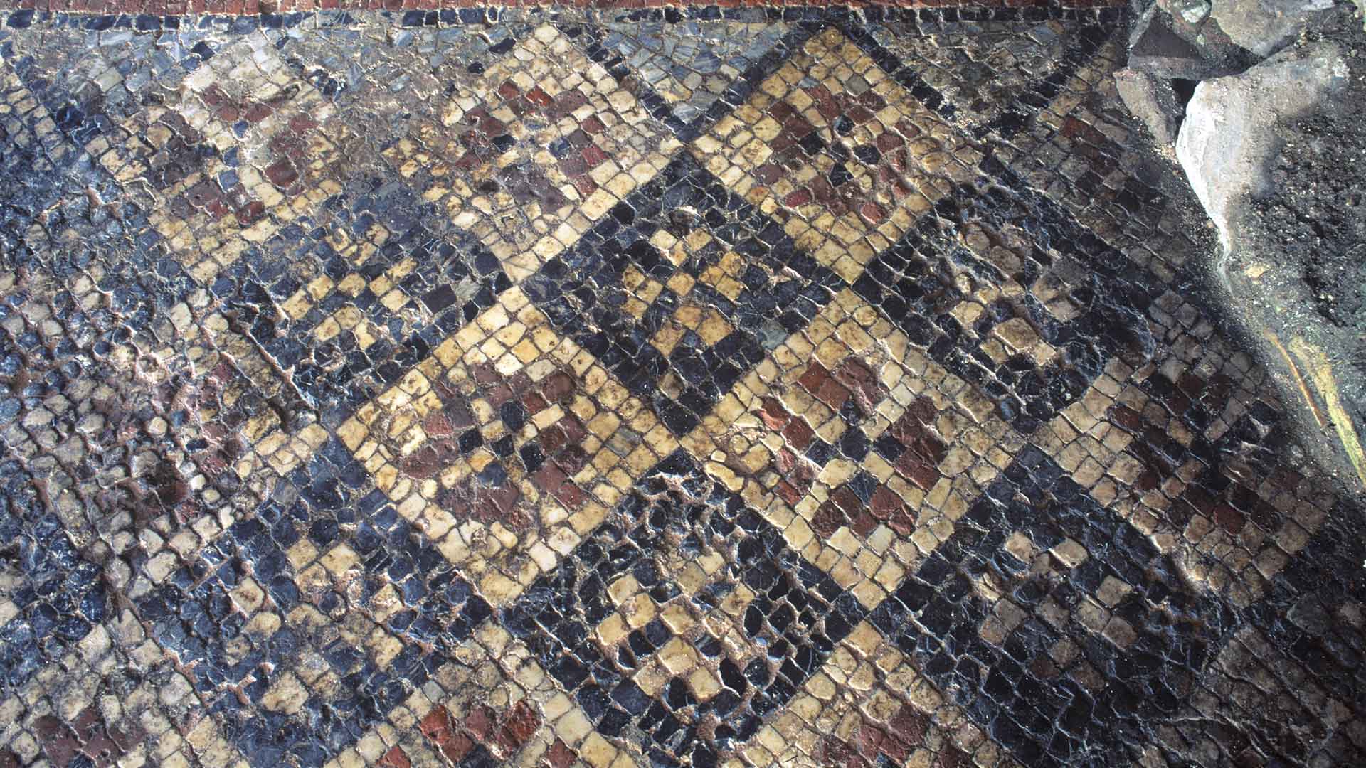 Mosaici rinvenuti nella domus dell’area archeologica di Luni