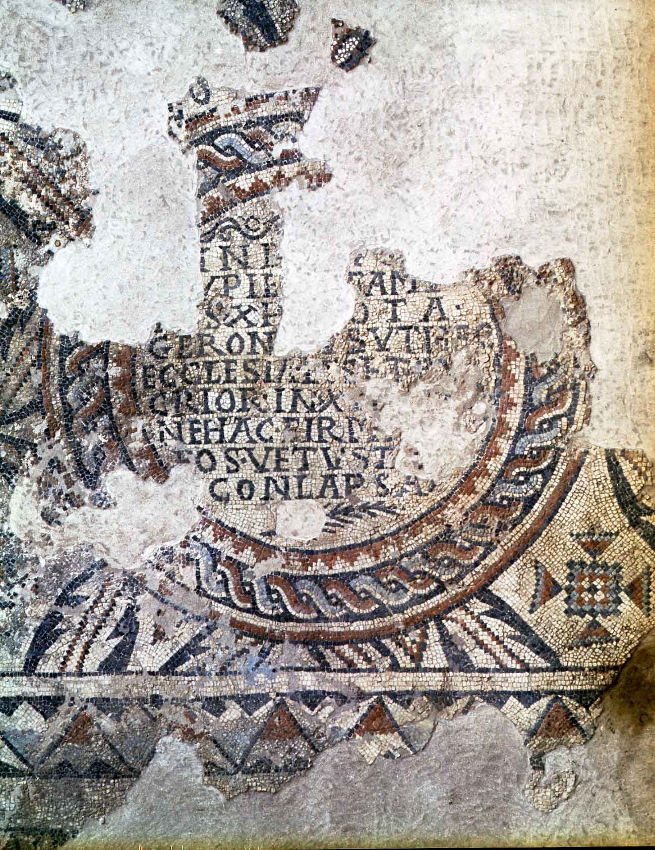 Mosaici rinvenuti nella domus dell’area archeologica di Luni