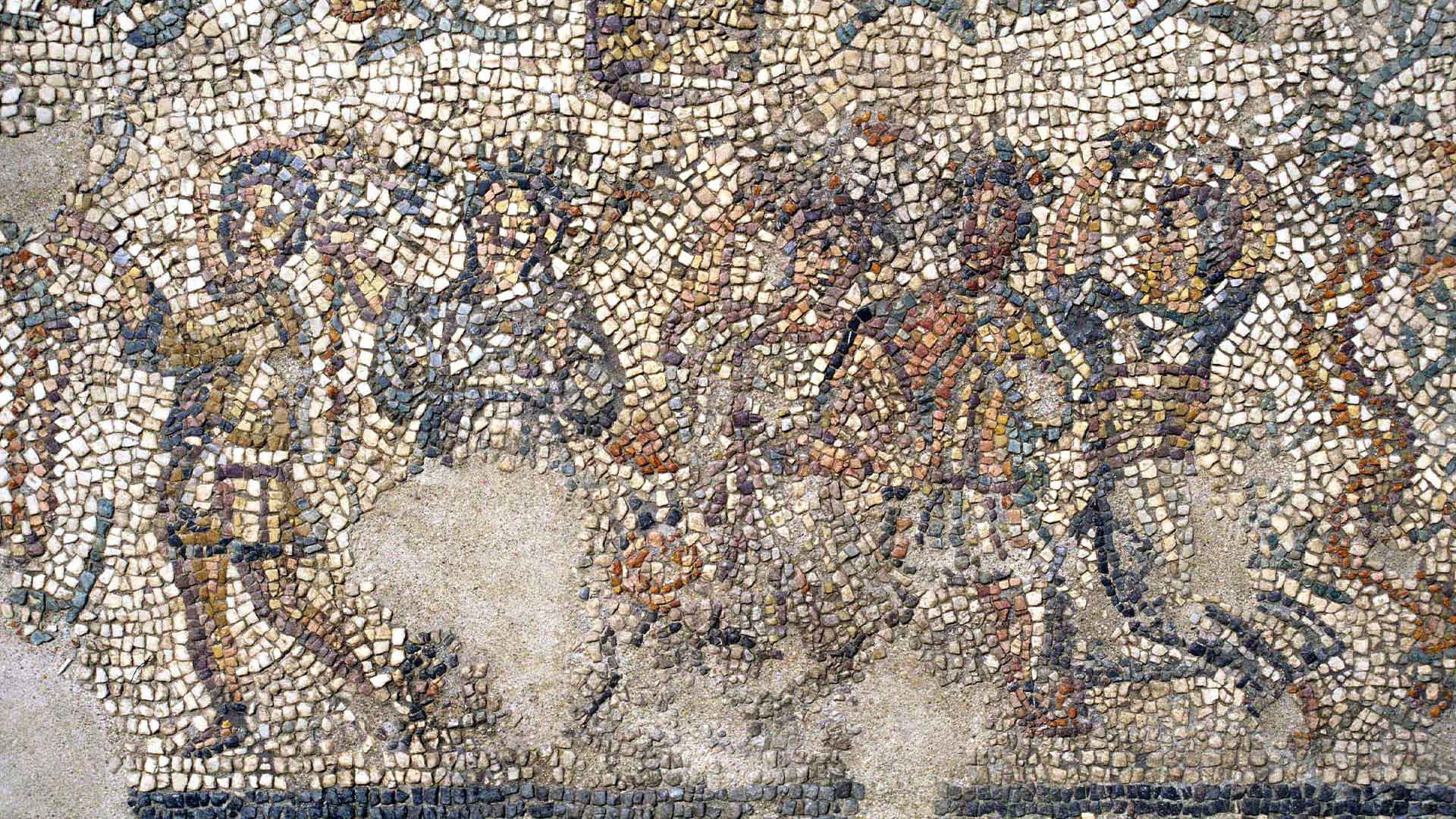 Domus dei mosaici